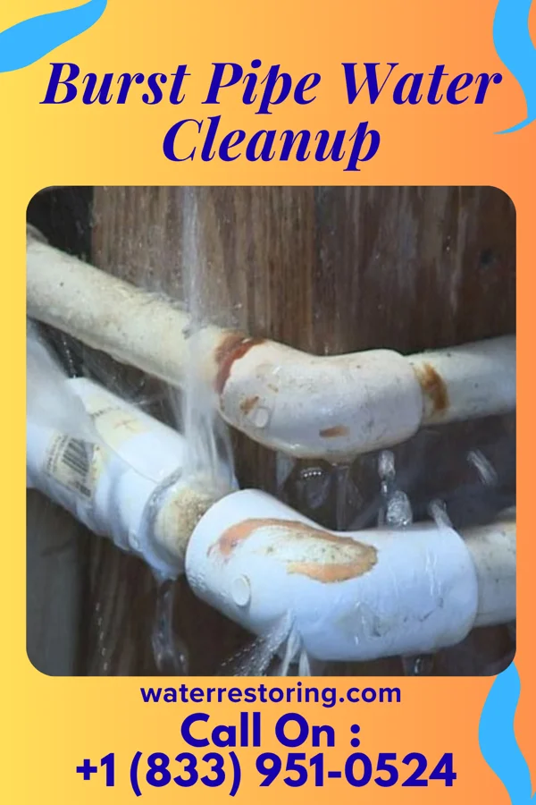 Burst Pipe Water Cleanup in Unity Village, MO