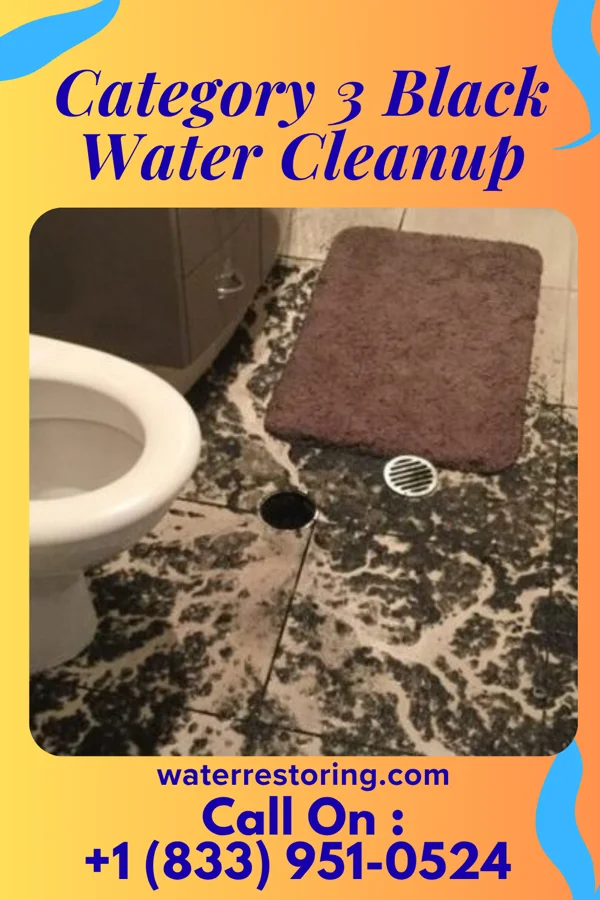 Category 3 Black Water Cleanup in Unity Village, MO