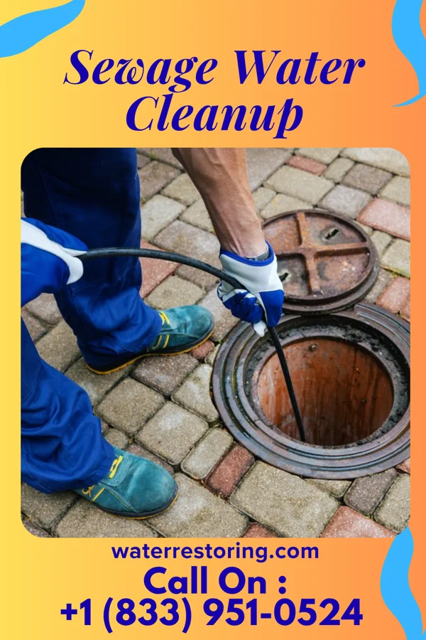 Sewage Water Cleanup in Unity Village, MO