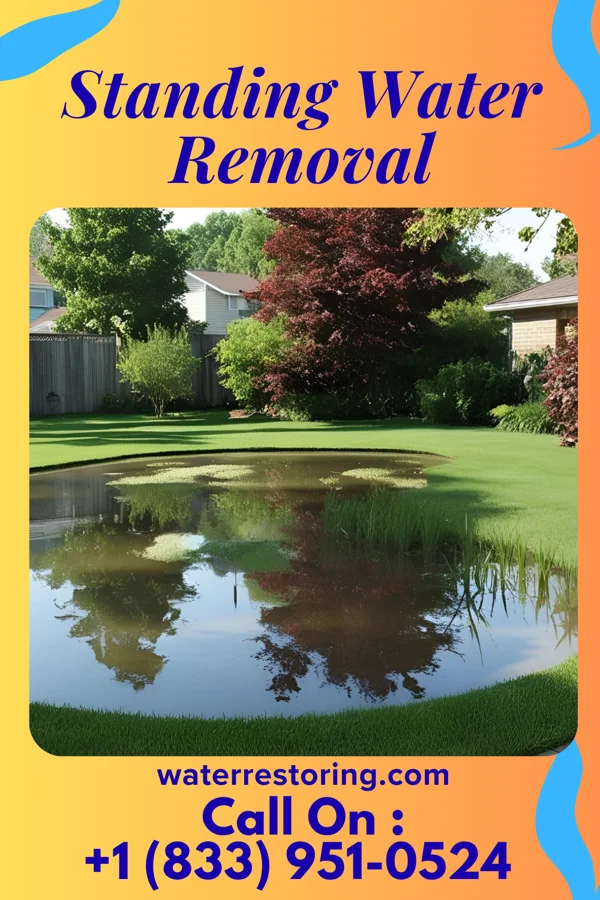 Standing Water Removal in Unity Village, MO